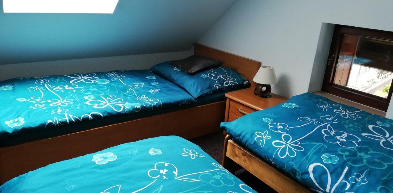 Apartmany U Jirousu โรกีนีซ นัด ยีเซอโร ภายนอก รูปภาพ
